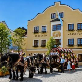 Brauereigasthof Falter，位于雷根的酒店