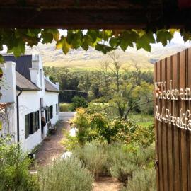 Wildekrans Country House，位于波特里弗的酒店