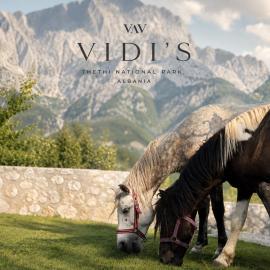 Vidis Chalet Boutique Hotel，位于泰斯的酒店