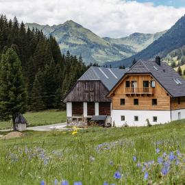 Das Detox Almhaus，位于Pusterwald的酒店