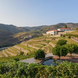 Hotel Rural Quinta Do Pego,位于塔布阿苏的酒店