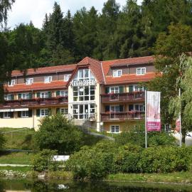 Parkhotel Bad Brambach,位于巴特布兰巴赫的酒店