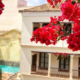 Las Casas de la Judería de Córdoba
