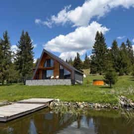Carpathic Chalet，位于Comandău的酒店