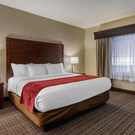Comfort Suites Green Bay West，位于绿湾的酒店