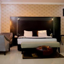 Monarchs Luxury Palace hotel，位于伊洛林的酒店