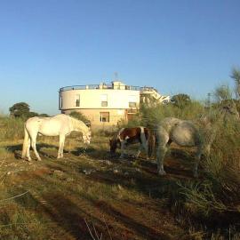 Hotel Paraje La Lambra，位于Rus的酒店