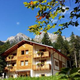 Chalet Tovel - Mountain Lake，位于图恩诺的酒店