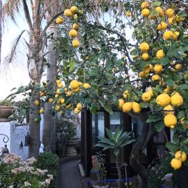 Aquilone Residence，位于斯特龙博利的酒店