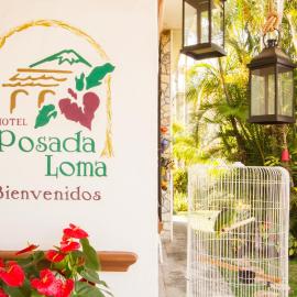 Hotel Posada Loma,位于Fortín de las Flores的酒店