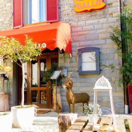 Albergo Ristorante Gallo,位于Castel del Rio的酒店