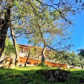 Mushkudiani Manor，位于梅斯蒂亚的酒店
