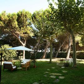 B&B Il Parco Dei Pini，位于朱利亚诺瓦的酒店