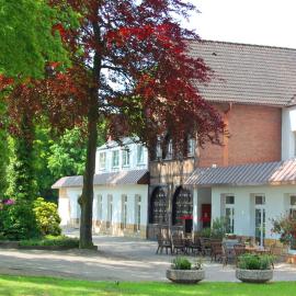 Landidyll Wilminks Parkhotel,位于诺伊基兴的酒店
