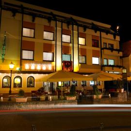 Adler Hotel & Restaurant Groß-Gerau，位于大盖劳的酒店