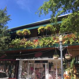 Park Plaza Hotel Orlando - Winter Park，位于奥兰多的酒店