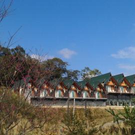 Yulan Green Roof，位于大同区的酒店