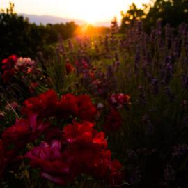 Agriturismo Podere Luisa，位于蒙特瓦尔基的酒店