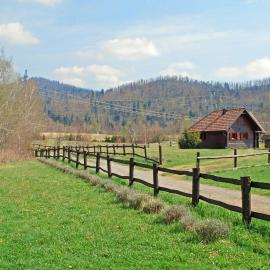 Chalets Zelena Vrata，位于弗济内的酒店