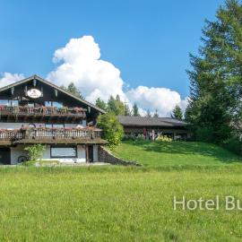 Hotel Buchberg，位于Schönsee的酒店