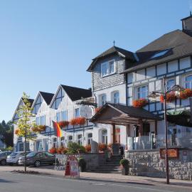 Posthotel Usseln，位于维林根的酒店