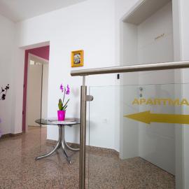 Apartma Grže，位于波斯托伊纳的酒店