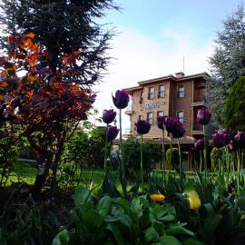 Turquhouse Hotel,位于伊斯坦布尔的酒店