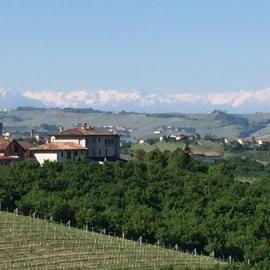 Cascina Baresane，位于阿尔巴的酒店
