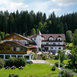 Märchenhotel 3 Sterne Superior Waldpension Nebelstein，位于Harbach的酒店