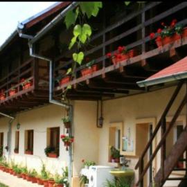 Pensiunea Leia Cârțișoara，位于克尔茨什瓦拉乡的酒店