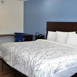 Athena Inn Chattanooga，位于Tyner的酒店