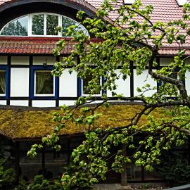 Hotel Jelita，位于奈达的酒店