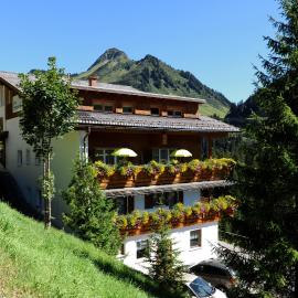 Hotel Sonnalpen，位于达米尔斯的酒店