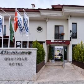 Blueberry Boutique Hotel，位于费特希耶的酒店