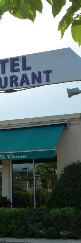 博若莱的魅力酒店，位于索恩河畔贝尔维尔的酒店