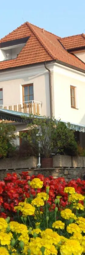 Hotel Geier，位于巴特舍瑙的酒店