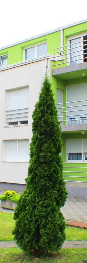Bokun Apartments III，位于锡萨克的酒店