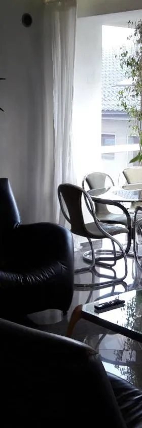 Vilnius Luxury Apartment 1，位于维尔纽斯的酒店