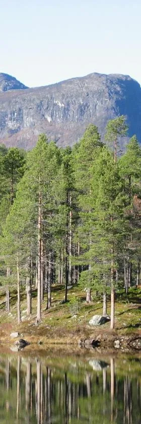 Årrenjarka Mountain Lodge，位于Kvikkjokk的酒店