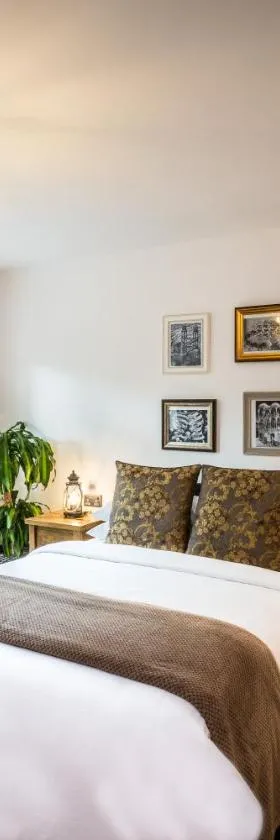 Rose Cottage B&B，位于索兹的酒店