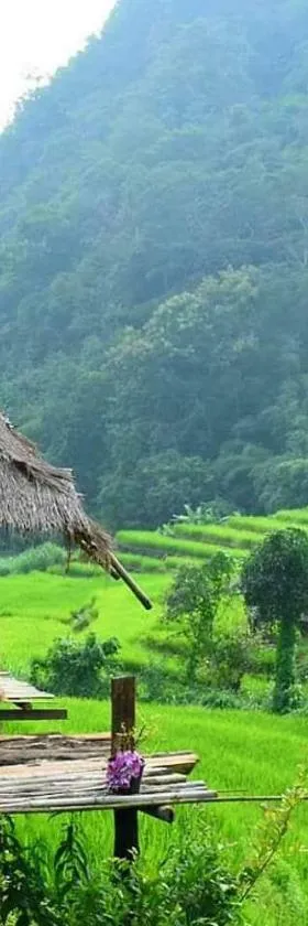 KowitFarmstay，位于Ban Mae Pan Noi的酒店