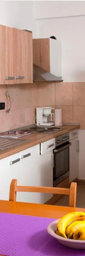 Apartment Kraljević，位于Blato na Cetini的酒店