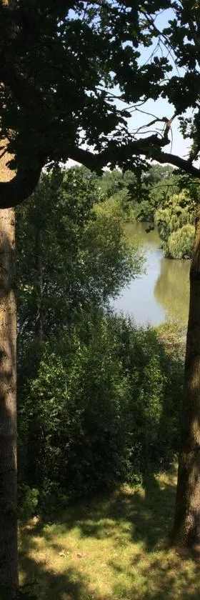 Cabanes et Studios à la Bernardiere，位于Saint-Macaire-en-Mauges的酒店