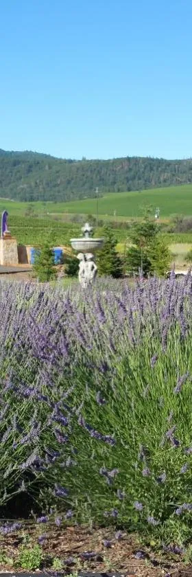 Thorn Hill Vineyards Villa Suites，位于Clear Lake Riviera的酒店