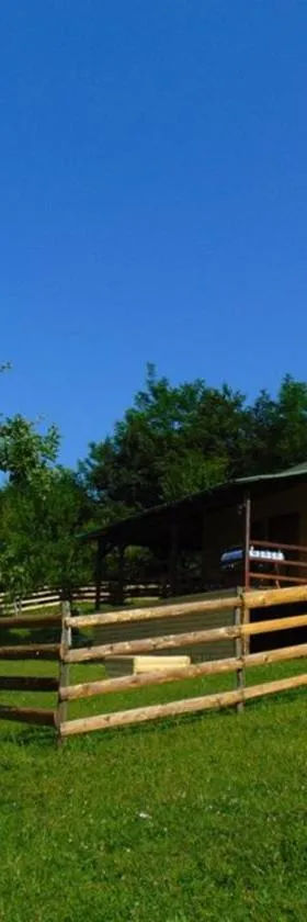 Forest Lodge on the Pyramid，位于维索科的酒店