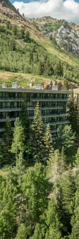 Inn at Snowbird，位于The Cliff Lodge的酒店