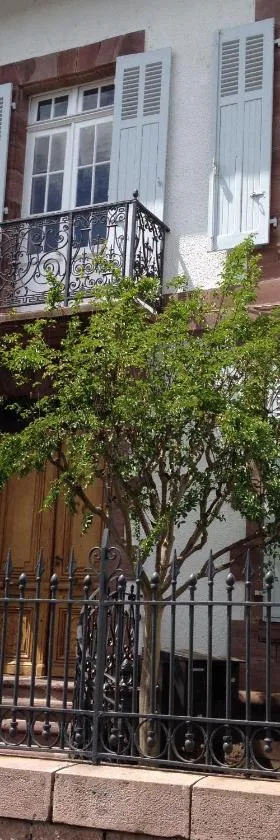 埃斯庞达别墅酒店，位于圣让皮耶德波尔的酒店