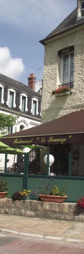 乐索维奇酒店，位于Château-Renard的酒店