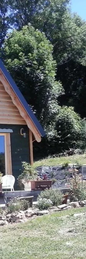 WillowTree Cottage，位于阿维泽的酒店
