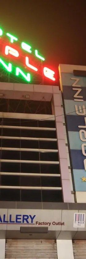 Hotel Apple Inn Vapi，位于瓦皮的酒店